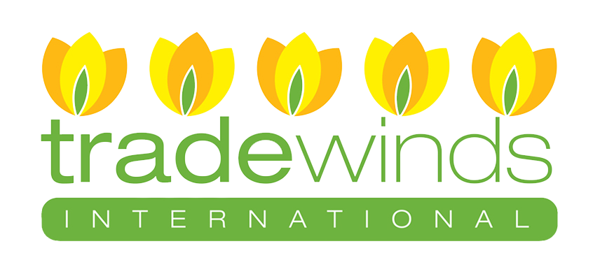 Tradewinds International